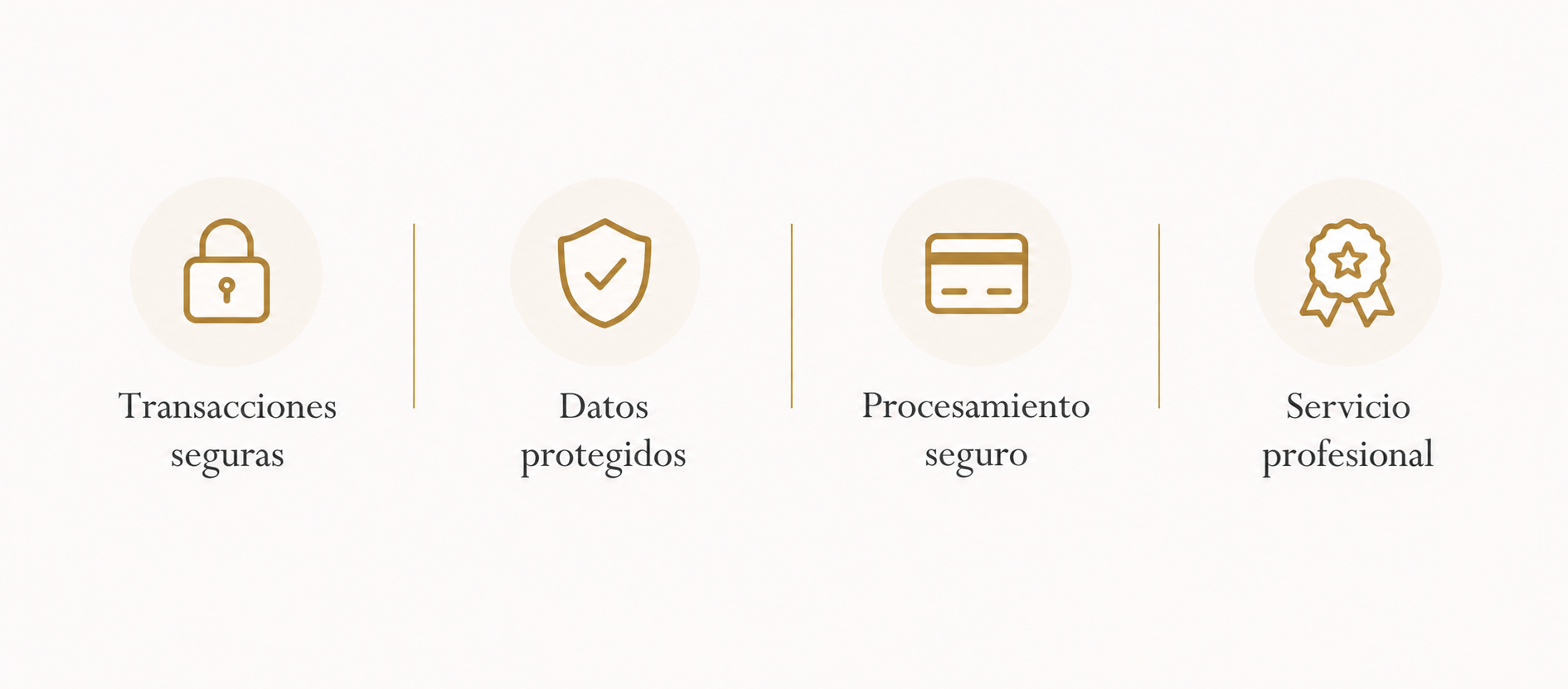 Transacciones seguras, Datos protegidos, Procesamiento seguro, Servicio profesional